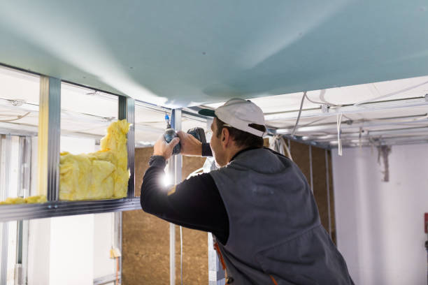 Attic Insulation Near Me in Roaring Spring, PA