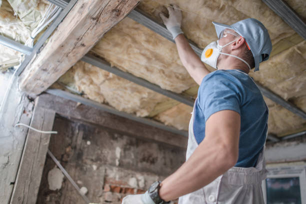 Best Blown-in Insulation  in Roaring Spring, PA