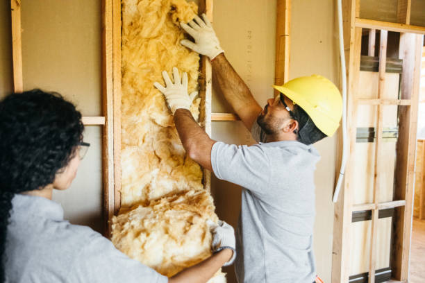 Best Attic Insulation Near Me  in Roaring Spring, PA