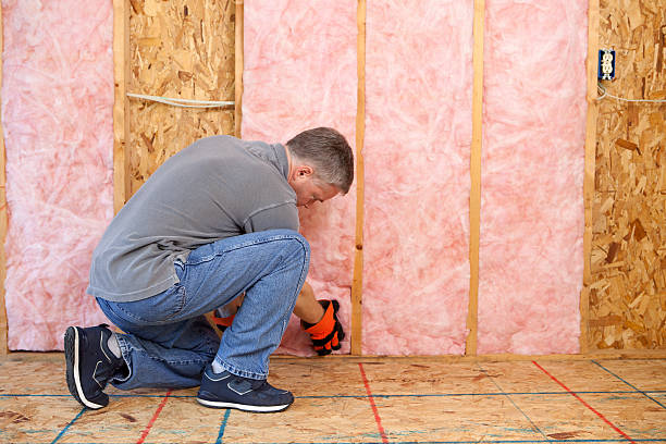 Best Fiberglass Insulation  in Roaring Spring, PA