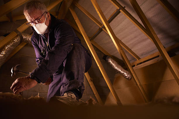 Best Affordable Insulation Services  in Roaring Spring, PA